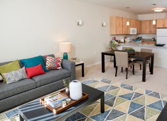 Dominium_Legends of Champlin_Living Room
