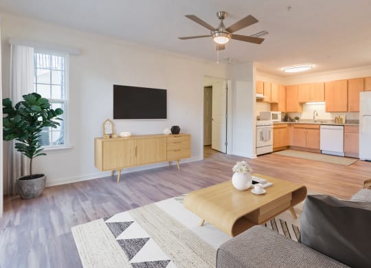 Dominium-Mulberry Place-Staged Kitchen Living Room