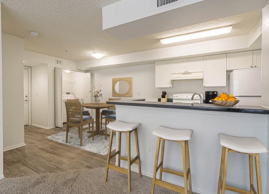 Dominium-Nassau Bay-Apt Overview