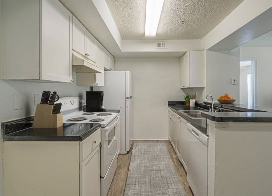 Dominium-Nassau Bay-Kitchen
