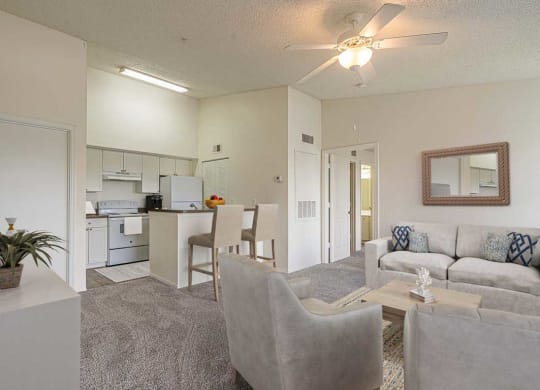 Dominium-Nassau Bay-Apt Overview