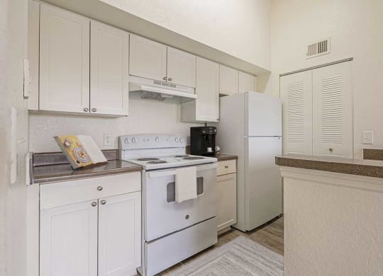 Dominium-Nassau Bay-Kitchen