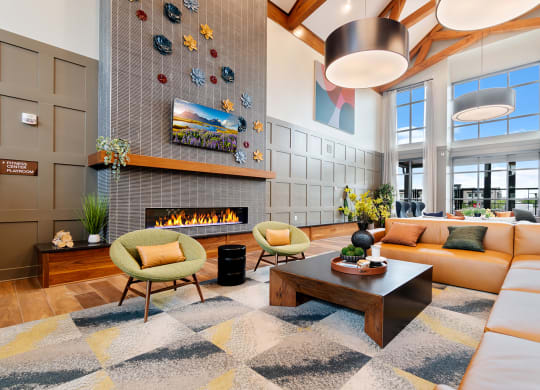 Dominium-Oasis at Twin Lakes-Community Room