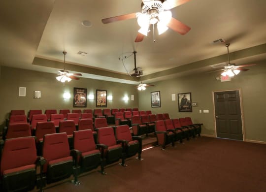 Park Manor_Theatre Room