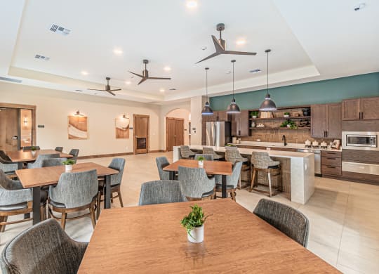 Dominium-Park-Manor-Interior-Clubhouse-15-WEB.jpg