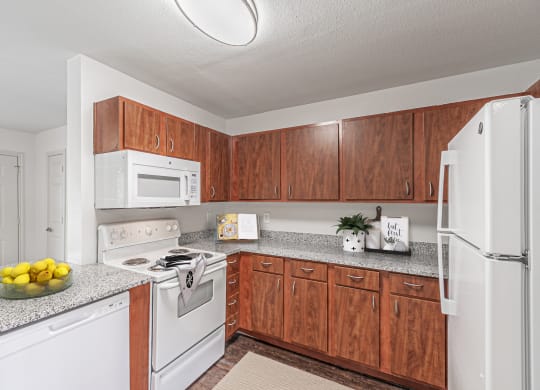 Dominium-Park-Manor-Staged-Kitchen-WEB.jpg