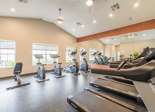 Modern Fitness Center at Pinewood Apartments, Houston, 77396