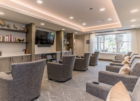 Dominium-Preserve at Peachtree Shoals-Theater Room