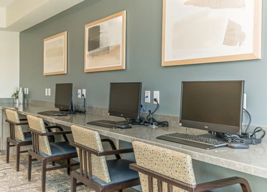Dominium-Preserve at Peachtree Shoals-Business Center