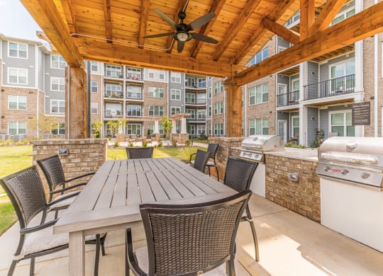 Dominium-Preserve at Peachtree Shoals-Picnic and Grilling Area