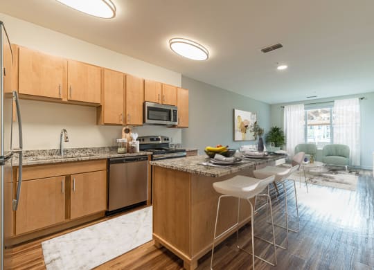 Dominium-Preserve at Peachtree Shoals-Virtually Staged Apt Overview
