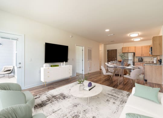 Dominium-Preserve at Peachtree Shoals-Virtually Staged Apt Overview