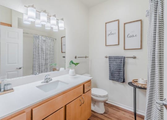 Dominium-Riverstation-New Model Bathroom at Riverstation, Dallas, TX 75217