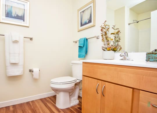 Luxurious Bathroom at Scharbauer Flats, Midland