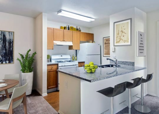 Seven Palms_Staged Kitchen
