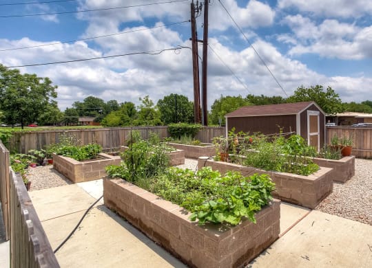 Silver Gardens_Outdoor Garden
