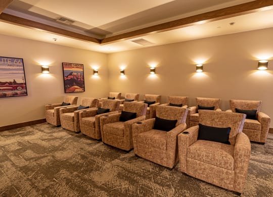 Dominium-Solstice of Mesa-Theater Room
