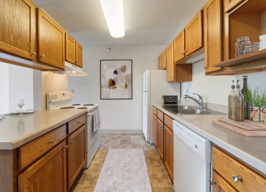 Dominium-Somerset Properties-Kitchen