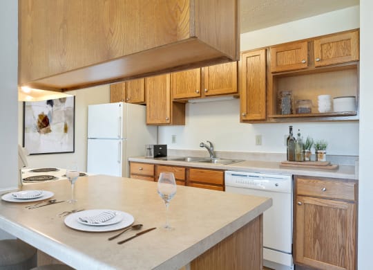 Dominium-Somerset Properties-Kitchen
