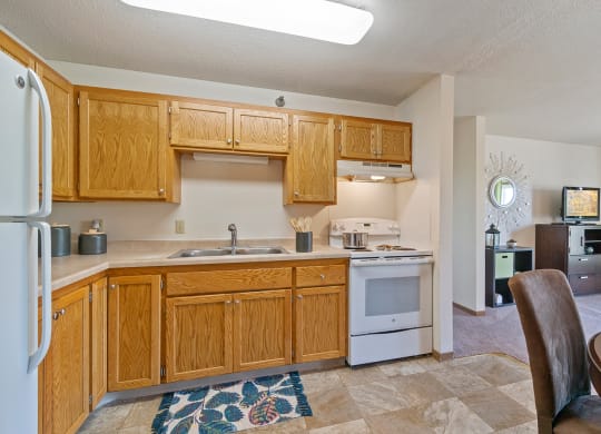 Dominium-Somerset Properties-Kitchen