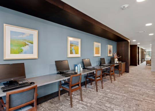 Business Center at Stonepointe 55+ Apartments, Lithonia, GA, 30058