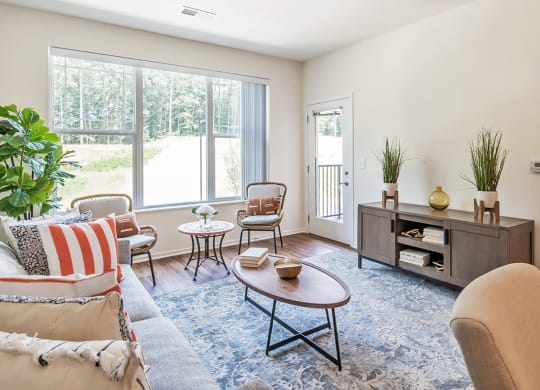 Living Room at Stonepointe 55+ Apartments, Lithonia 30058