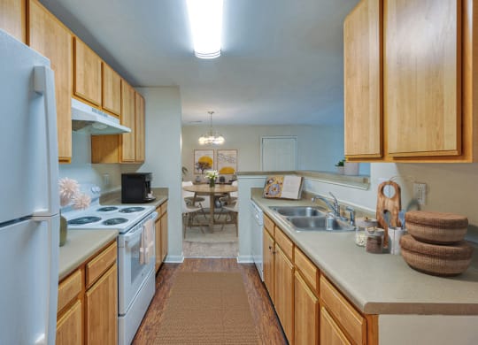 Dominium-Swiss View-Kitchen