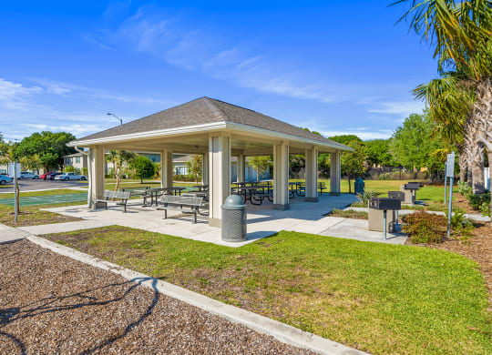 Dominium-Taylor Pointe-Grilling and Picnic Area