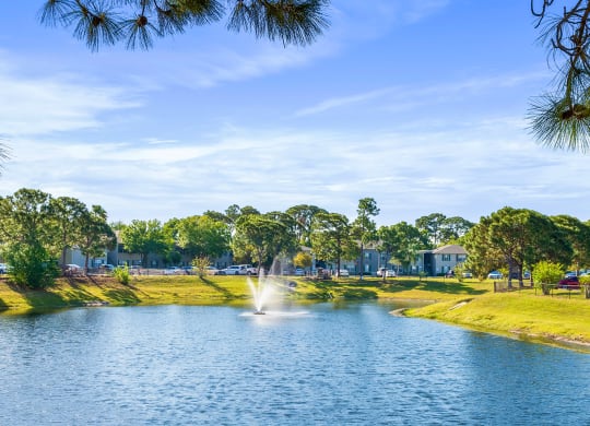 Dominium-Taylor Pointe-Pond