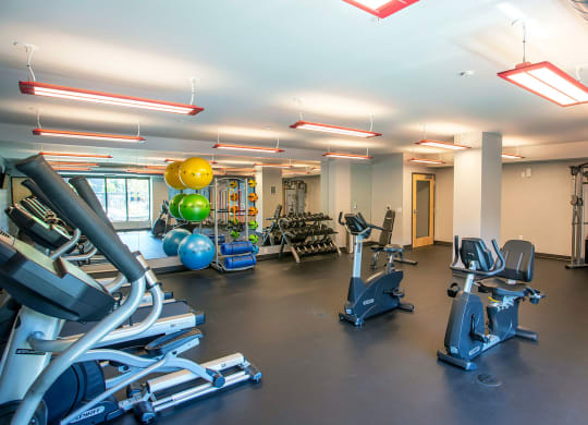 Fitness Center at Union Flats, Minnesota