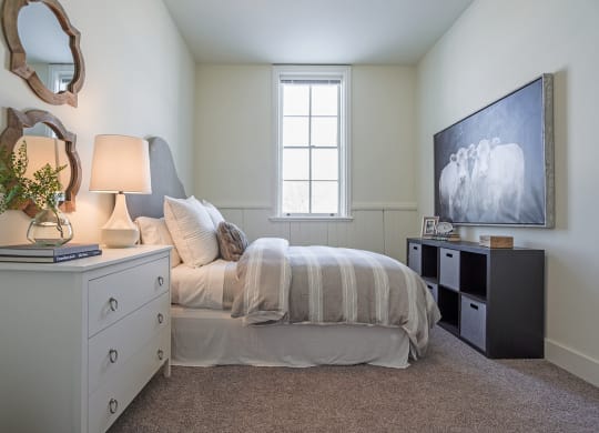 Bedroom With TVat Upper Post Flats, Fort Snelling Minnesota