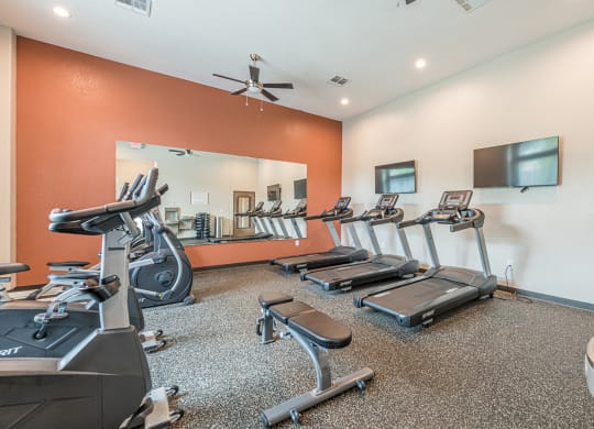 Fitness Center at Vermillion Apartments, Houston Texas