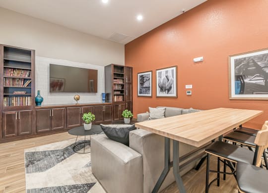 Theater Room at Vermillion Apartments, Houston, 55901