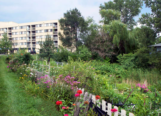 Village Green_Gardens