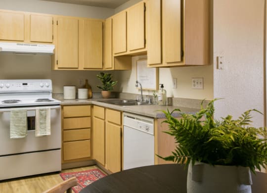 Dominium-VillaHermosa-Apartment01.png