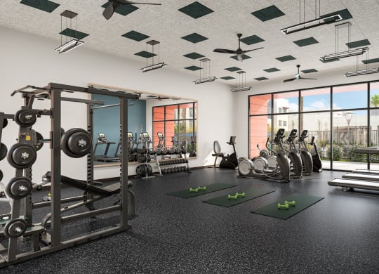 Dominium_67 Flats_ Fitness Center Rendering.jpg