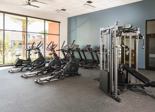 A gym with a row of treadmills and a row of stationary bikes.