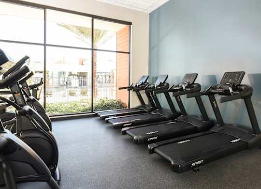 A row of treadmills are lined up in a gym.