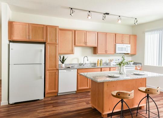Dominium_67 Flats_Kitchen 1.jpg