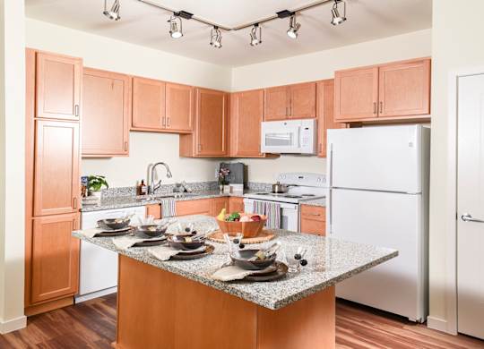 Dominium_67 Flats_Kitchen 2.jpg
