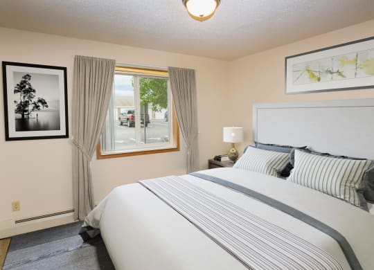 Dominium_Albertville Meadows_Virtually Staged Apartment Bedroom
