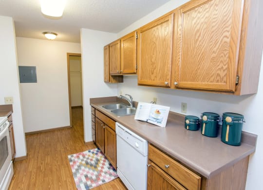 Dominium_Albertville Meadows_Virtually Staged Apartment Kitchen
