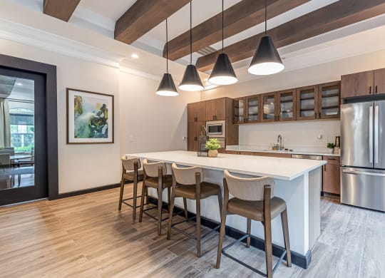 Community Kitchen at Alexander at Stonecrest Apartments, Lithonia Georgia