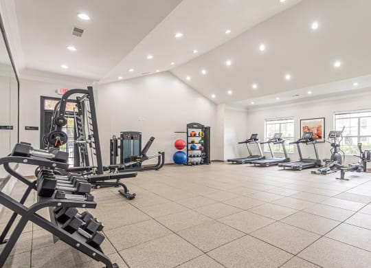 Modern Fitness Center at Alexander at Stonecrest Apartments, Lithonia Georgia