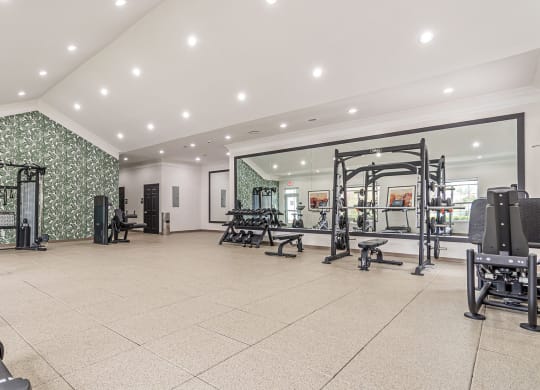 Updated Fitness Center at Alexander at Stonecrest Apartments, Lithonia, 30058