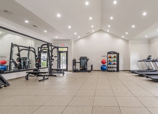 State Of Art Fitness Center at Alexander at Stonecrest Apartments, Lithonia