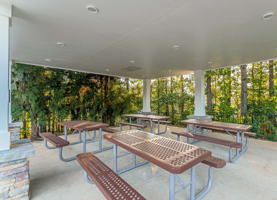 Outdoor Picnic Area at Alexander at Stonecrest Apartments, Georgia