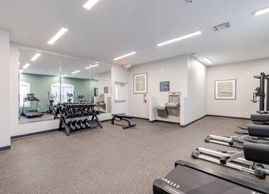 A gym with treadmills, weights, and exercise equipment.
