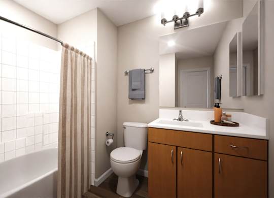 Dominium_Arterra_Bathroom Rendering.jpg