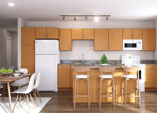 Dominium_Arterra_Kitchen Rendering.jpg